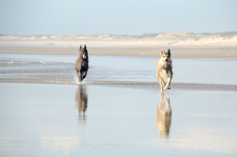 Les plages