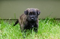 Lucy